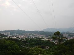 -福道