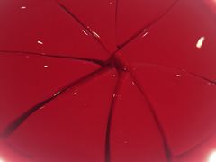 -巴蜀印象火锅(永陵总店)