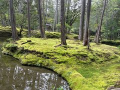 -西芳寺(苔寺)