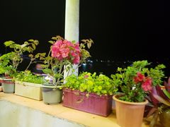 -七七家的糖水店(南湾街1号店)