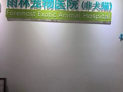 -雨林宠物医院 非犬猫异宠专科