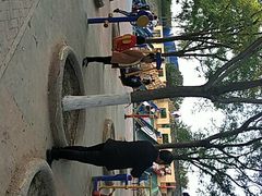 -大兴滨河森林公园