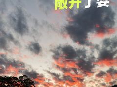 -黄埔油麻山森林公园