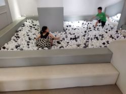 -BabyMonster小怪兽亲子派对·餐厅乐园(金月湾店)