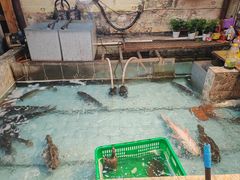 -鱼窝棚柴火铁锅炖(富山屯店)