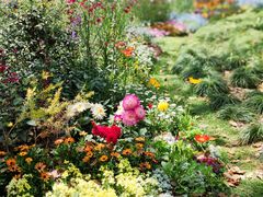 -上海共青森林公园