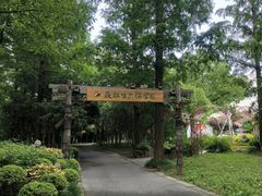 -东平国家森林公园