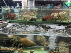-班赞海鲜市场