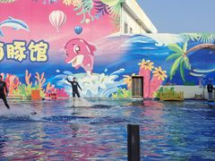 -北戴河圣蓝海洋公园