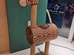 -飞行喵MR PILOT|猫舍·猫咖(静安大融城店)
