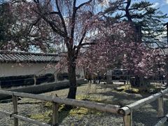 -醍醐寺