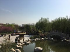 -西安青龙寺遗址景区