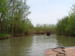 -溱湖国家湿地公园