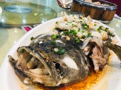-台山美食一绝阿四台山黄鳝饭(阿四创作店)