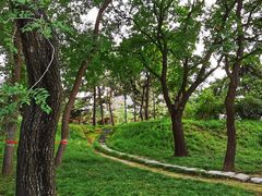 -元大都城垣遗址公园