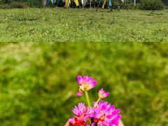 -硗碛藏寨·神木垒景区