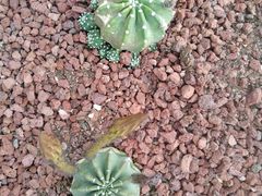 -南通洲际绿博园