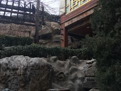 -顺景温泉