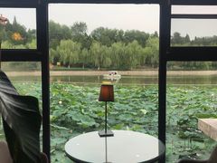 -榴莲咖啡馆