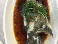 清蒸石斑鱼-鹏城人家海鲜酒家·23年老字号(较场尾店)