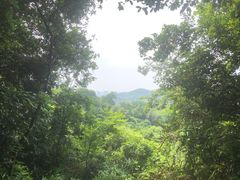 -广州市白云山风景名胜区