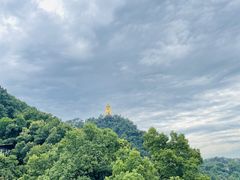 -城外有星光桥舍(南山店)