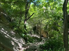 -大岭沟猕猴桃谷风景区