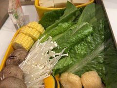 -润园四季椰子鸡火锅(欢乐海岸店)