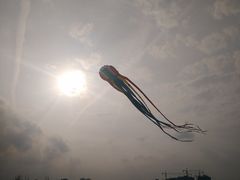 -白沙门生态公园