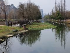 -洋湖国家湿地公园