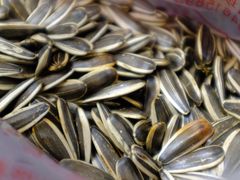 -栗满秋(燕丰西坝河店)