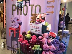 -济州岛泰迪熊博物馆