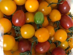 -杨柳青园艺科技博览园