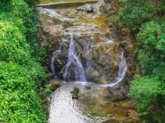 -南海湾森林生态园