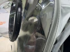 -悦宠动物医院(京丰分院)