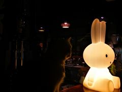 -咖法森林·咖啡  酒吧(天河店)