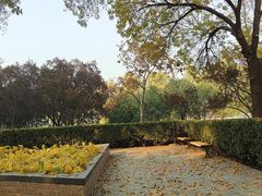 -莲花池公园