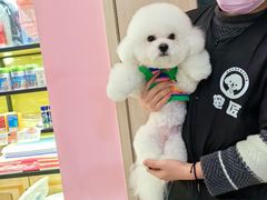 -宠匠·爱宠堡 PET CASTLE
