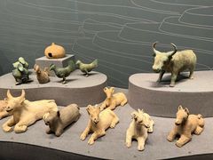 -广西壮族自治区博物馆