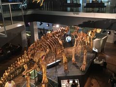 -墨尔本博物馆(Melbourne Museum)