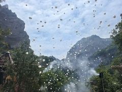 -红崖峡谷景区