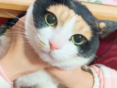 -UME影城(西城广场店)