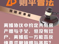 -则平律师服务团队·婚姻家事·法律服务