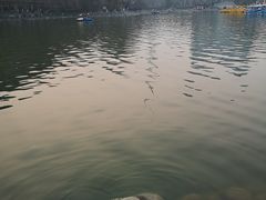 -莲湖公园