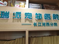 -瑞派长江宠物医院·猫科·外科·24小时夜护(谊城公寓分院)