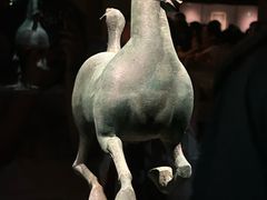 -甘肃省博物馆