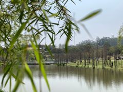 -东莞植物园