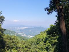 -广州市帽峰山景区