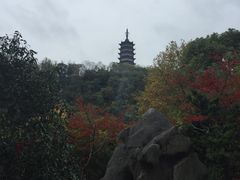 -焦山风景区