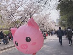 -望湘园·小雅(德基店)